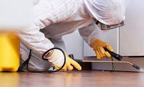 Best Real Estate Pest Inspections  in Redland, TX